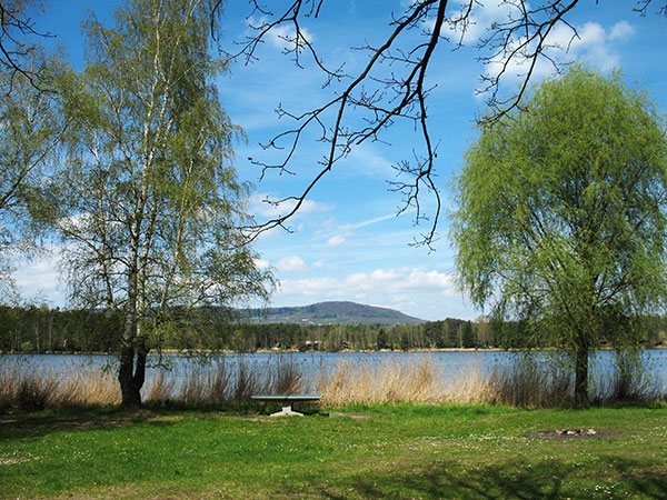 Milčanský rybník – hladina a okolní příroda