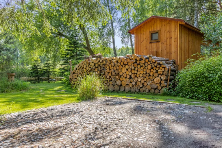 maringotkautobika (1)