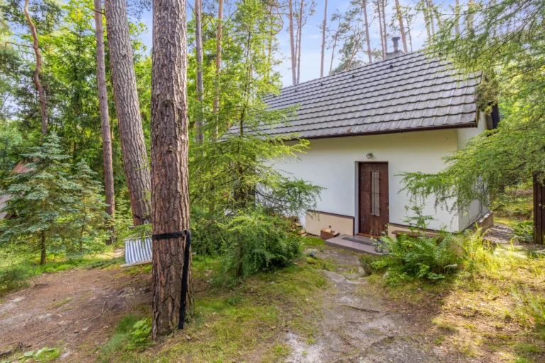 okolichatautobika (1)