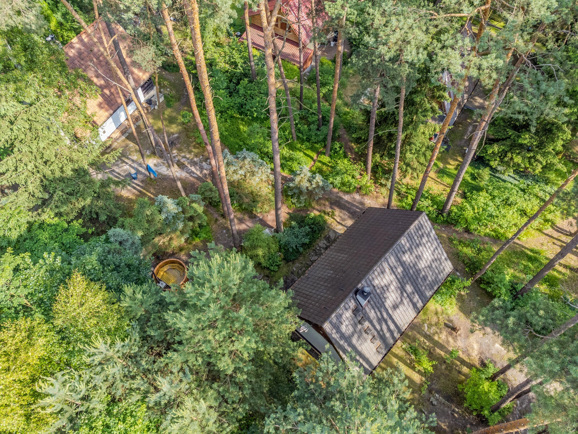 Procházky v okolí – les a louky