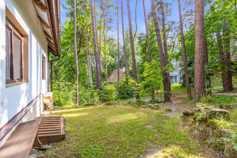 okolichatautobika (22)