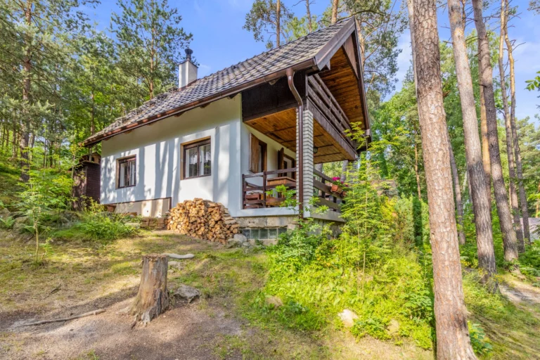 okolichatautobika (23)