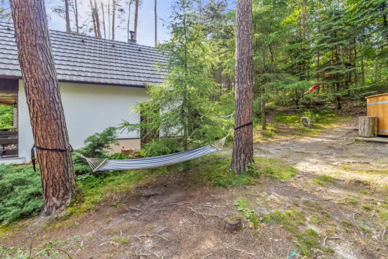 okolichatautobika (25)